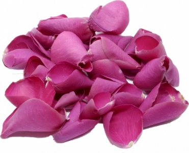 Hot Pink Rose Petals